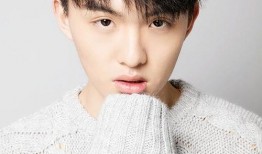 郑伟爆料视频播放大全集,事件始末与背后真相